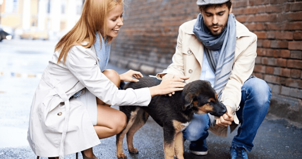 Understanding the need for a dog bite accident lawyer.